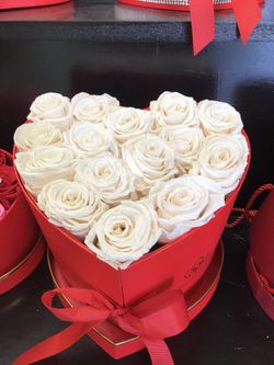 Preserved Roses