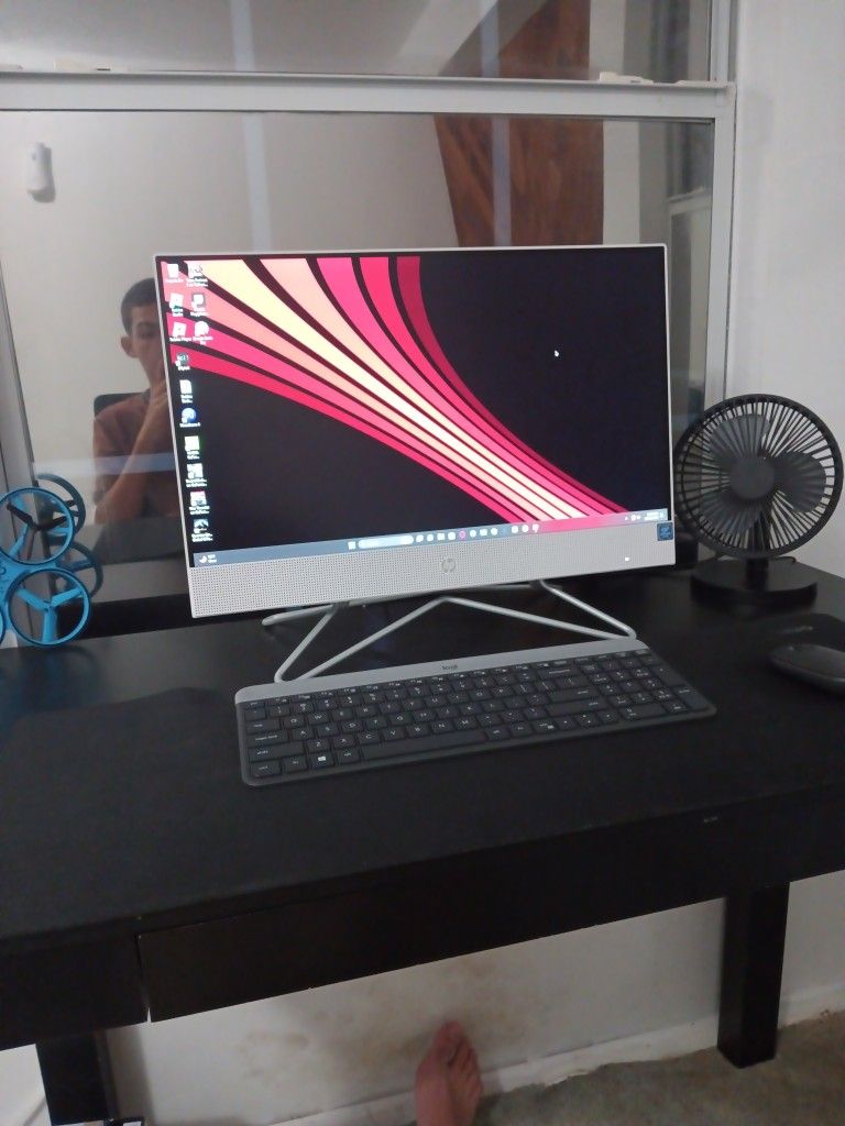 HP All In One 22 PC