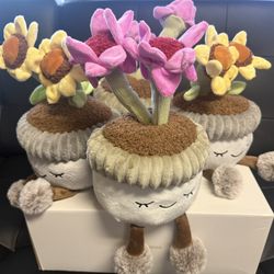 Plush Flower Plant 