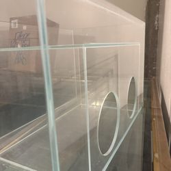 20-Gallon Glass Aquarium – Cat-Friendly Viewing Tank  