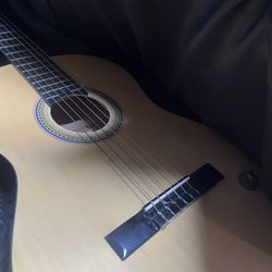 Palmer Guitar With Case