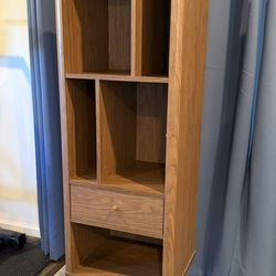 Mid Century Bookcase/Vinyl record holder