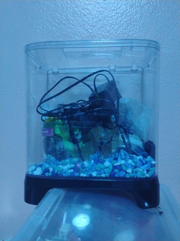 Betta fish tank