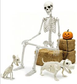 5.4ft Halloween Full Size Skeleton with Dog Cat for Haunted Party Decor
