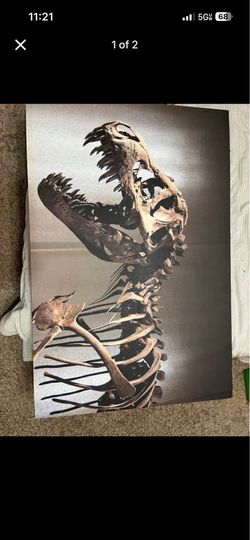 Dinosaur decor