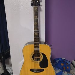 Acoustic Guitar 
