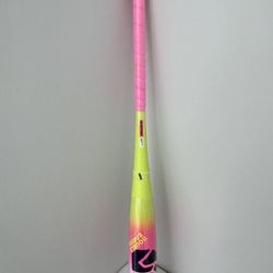 Easton Dub Baseball Bat