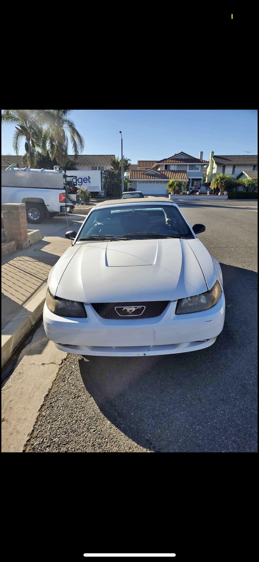 2003 Ford Mustang