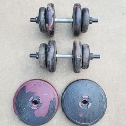2 dumbbells + 2 extra plates (concrete weights)