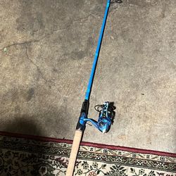 Tincup x lew’s rod and reel