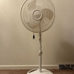 White Pedestal Fan