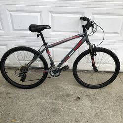 Nishiki  Mountain Bike and More