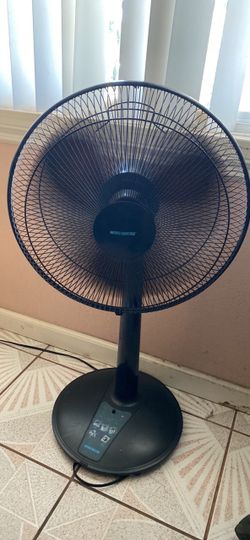 Windmere Black Pedestal Stand Fan
