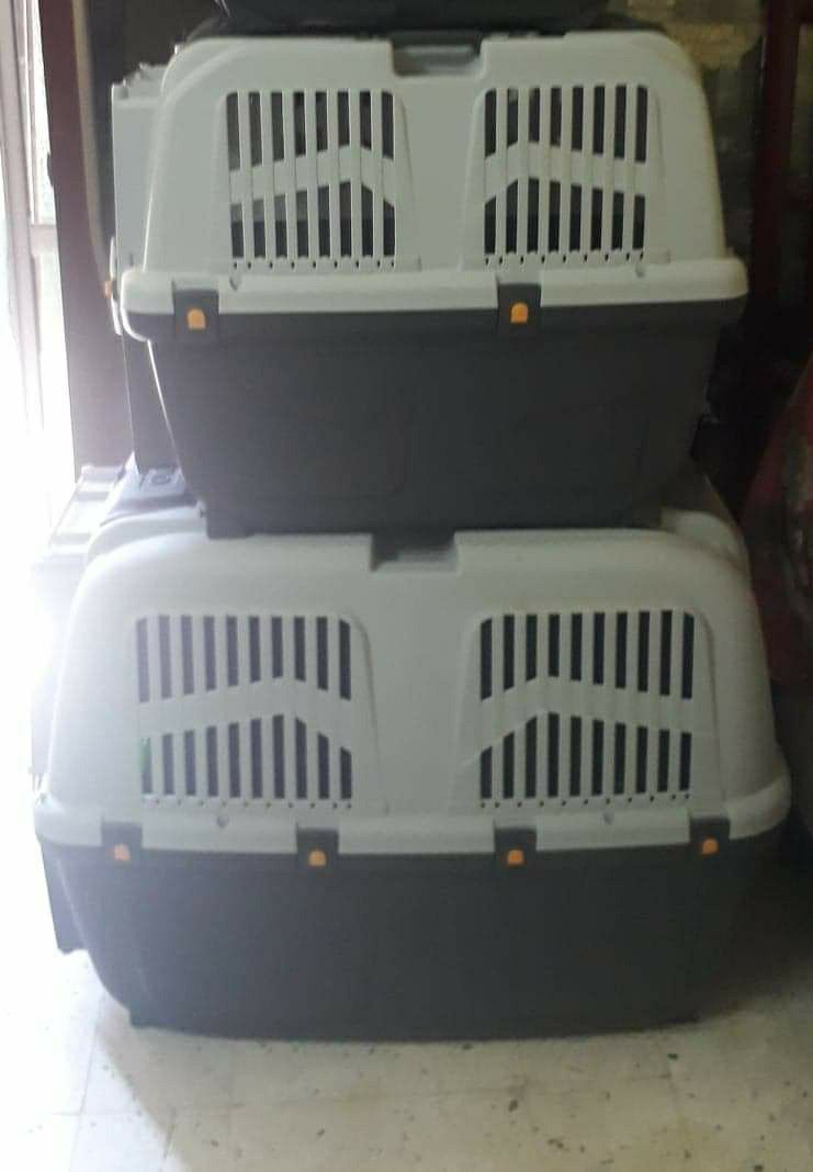 Skodu high end animal carriers airline eligible