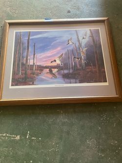 Pictures