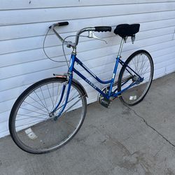 Schwinn Project Bike