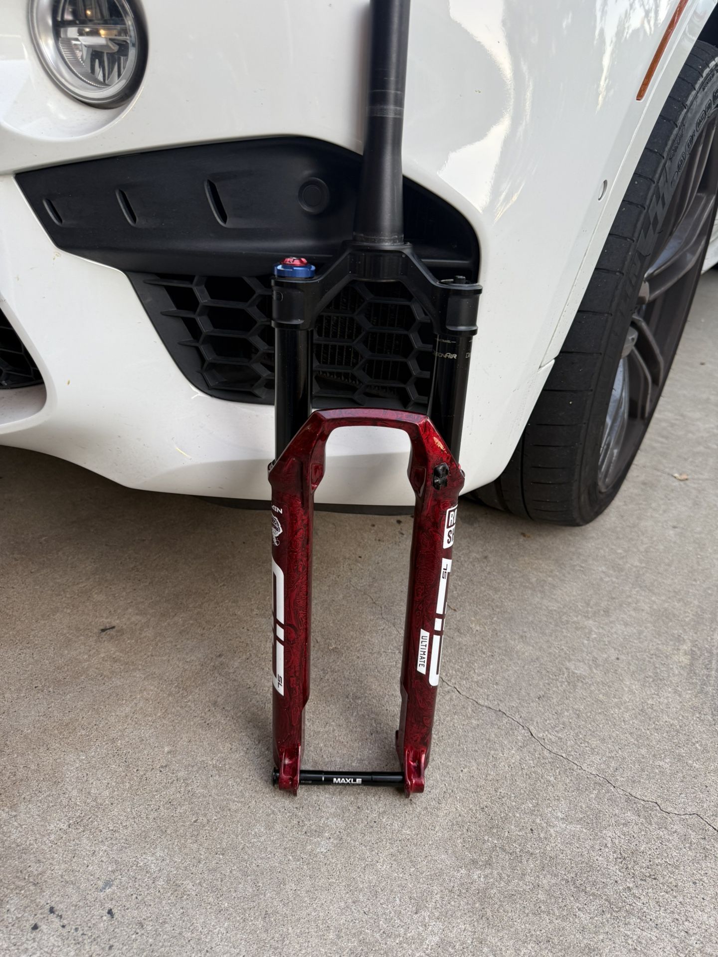 Rock Shox Sid Ultimate Brain