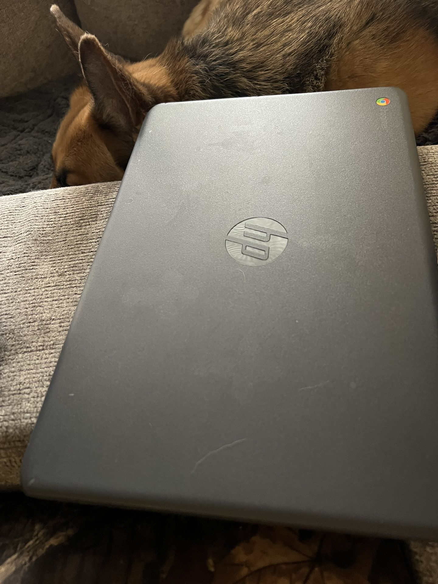 Hp Chromebook