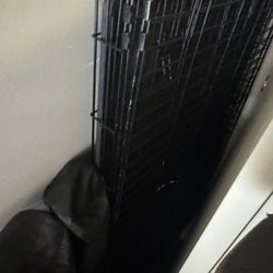 Dog Kennel 