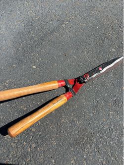 American ash loppers