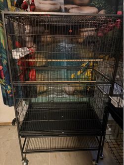 Bird cages and bird nest