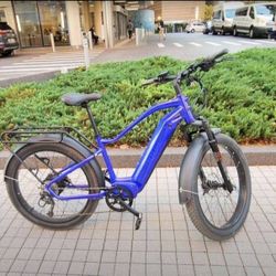Biktrix Ebike 