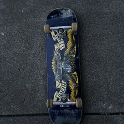 Anti Hero Skateboard and Full Setup