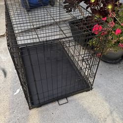 Collapsable Metal Dog Crate