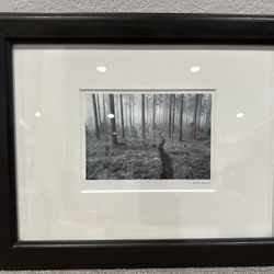 Framed Black & White Picture