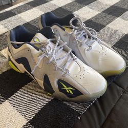 Reebok kamikaze two low