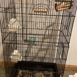 Bird Cage 
