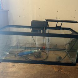 20 Gallon Long Fish Tank 