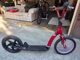 Torker push scooter