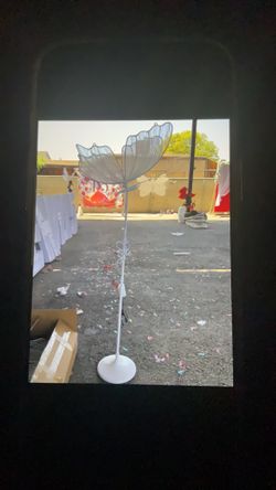 2 butterfly stands
