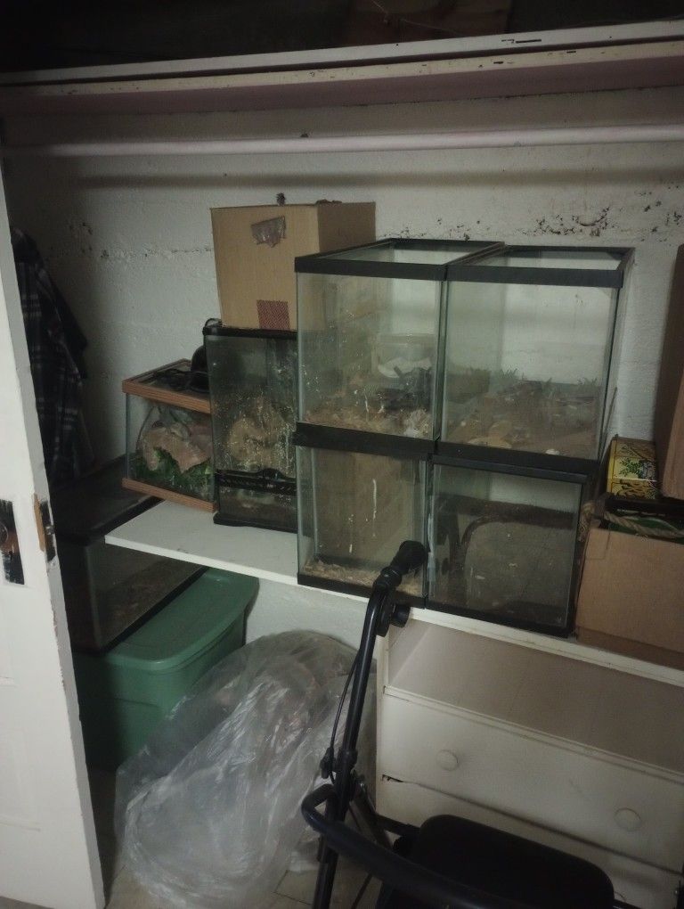 Aquariums Reptile Tank And Accessories 