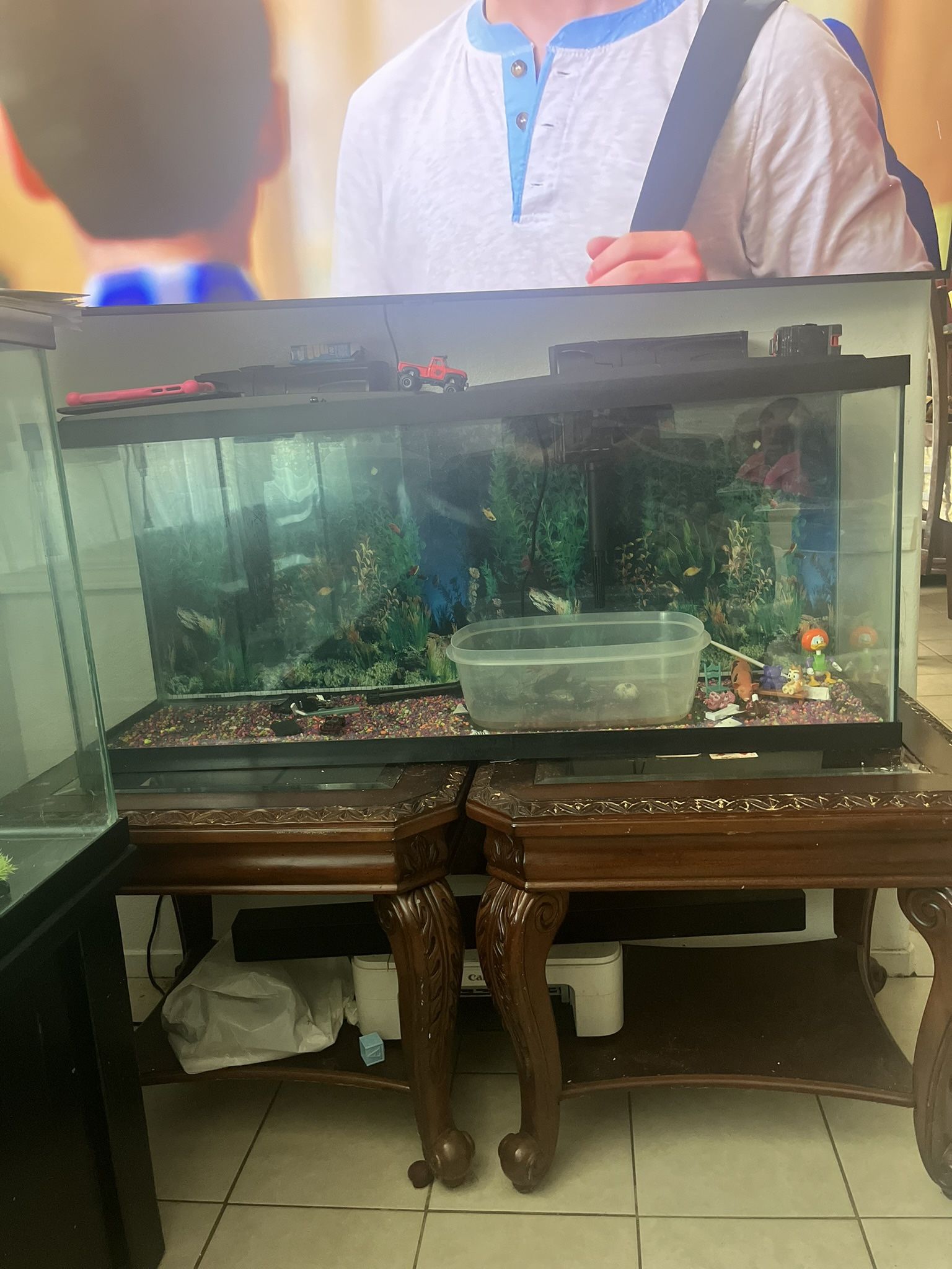 Fish Tank