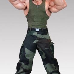 PCS Statue Lion-O And Guile