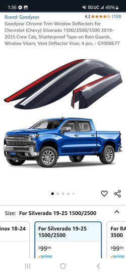 Window visor