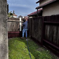 Back Jard fence paint