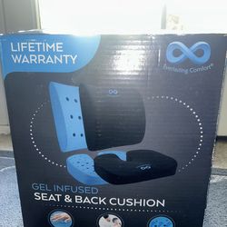 Everlasting Comfort Back and seat cushion