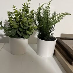 Fake Plants (2)