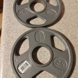2.5 Lb Plates 