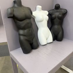 Form Men’s & Ladies Torso 