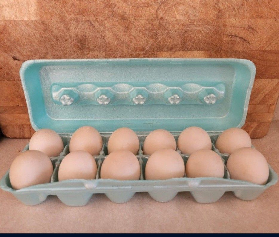 🥚 🥚 🥚 Fresh Unwashed Duck Eggs 🥚 🥚 🥚