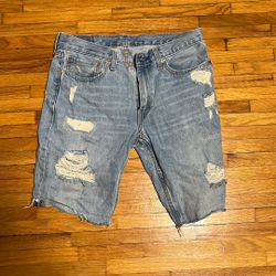 Levi Jorts 