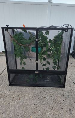 Chameleon enclosure