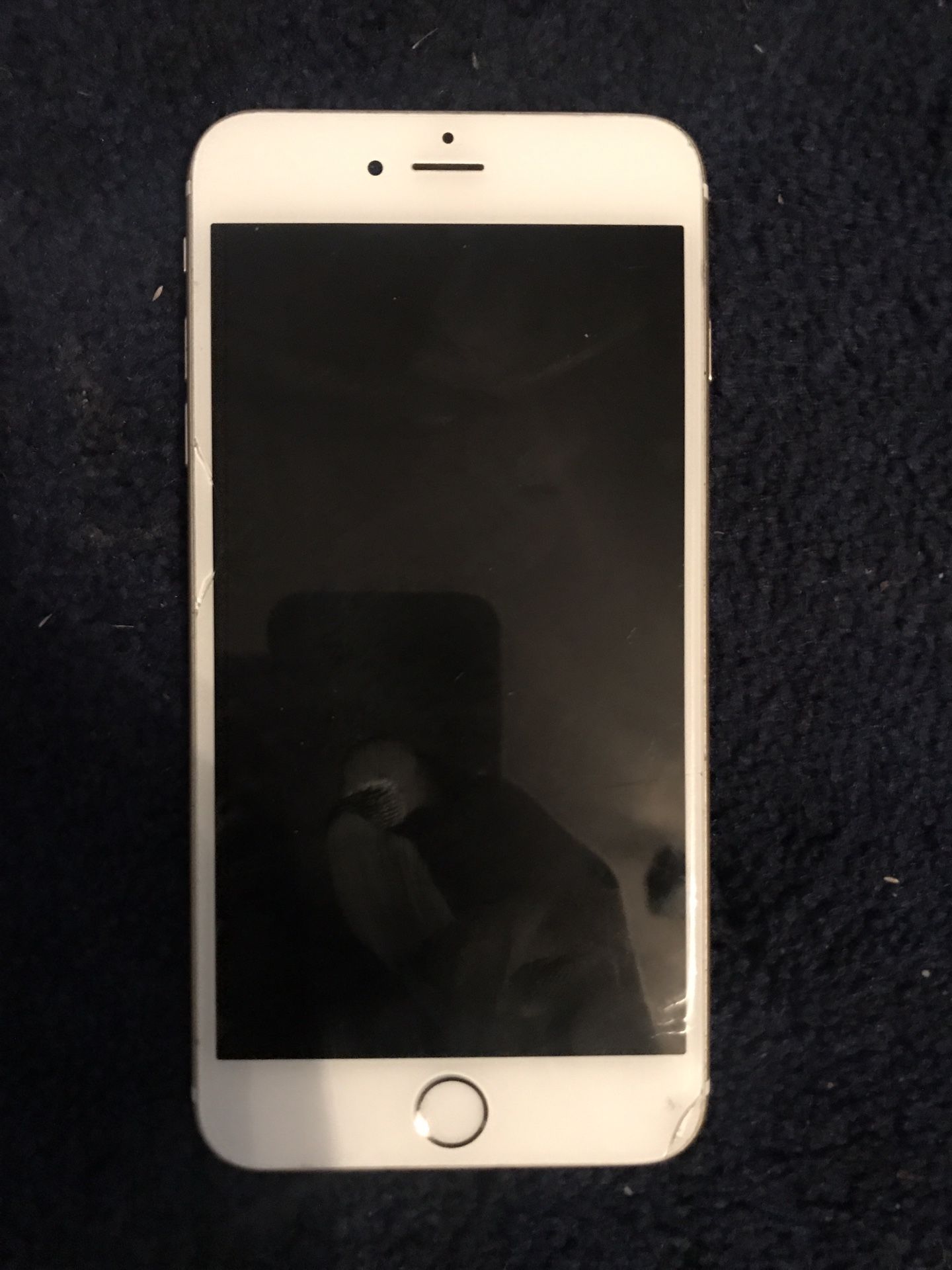 iPhone 6 Plus