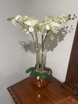 Plant/flower