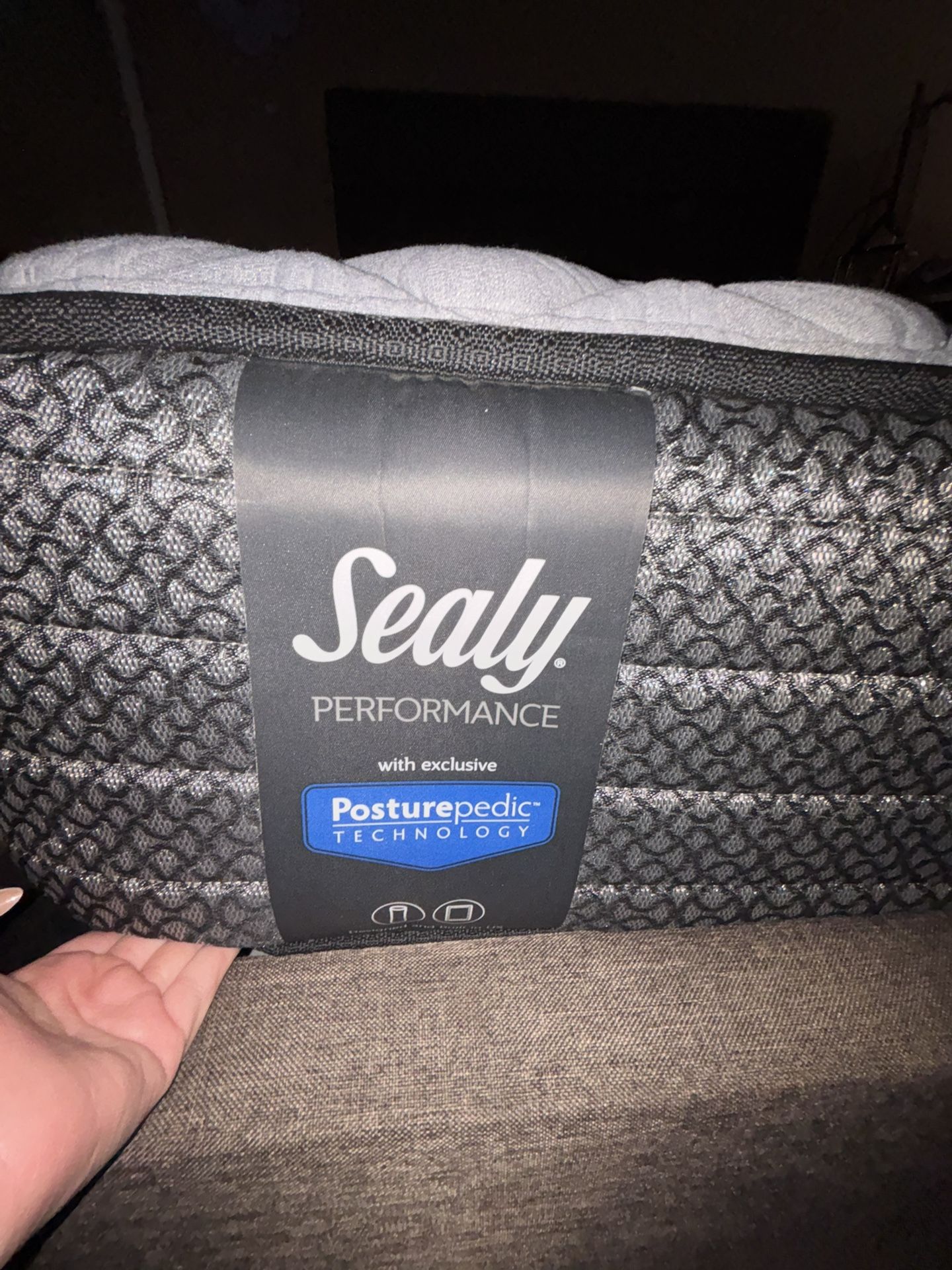 Sealy Mattress