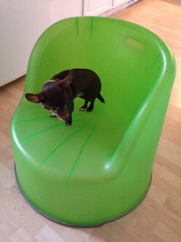 Lime Green IKEA KIMME Chair EUC